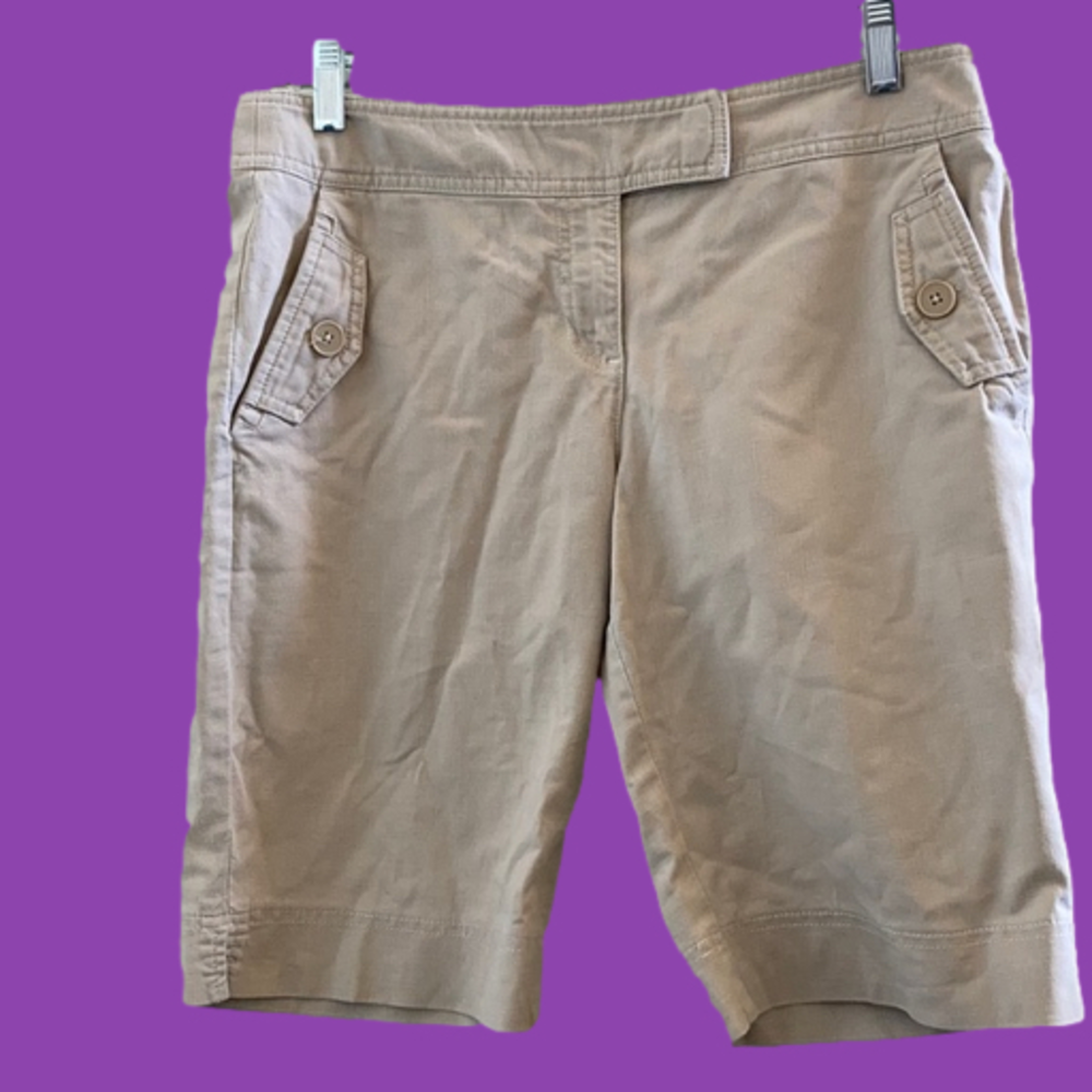 FINAL MARKDOWN Ann Taylor LOFT Shorts (6)
